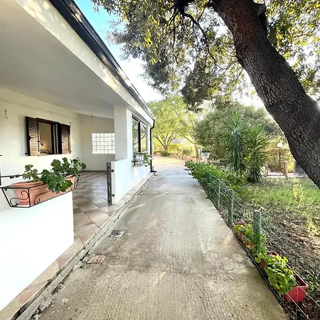 Διαμέρισμα Panorama