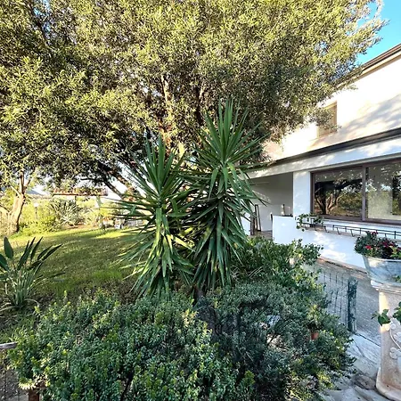 Panorama Διαμέρισμα *