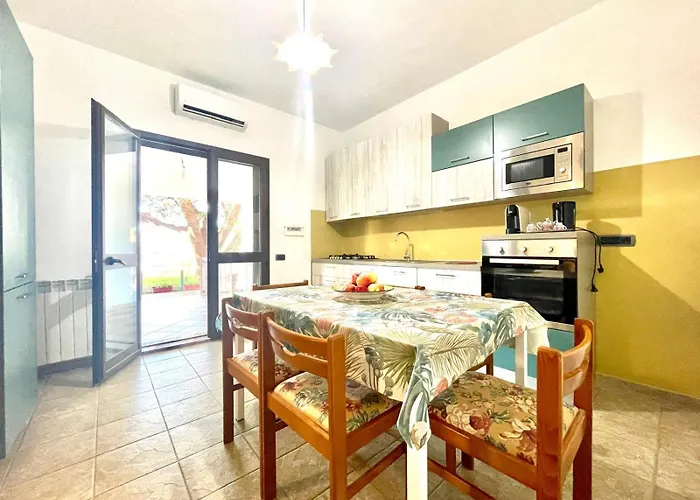 Panorama * Кардеду